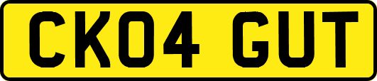 CK04GUT