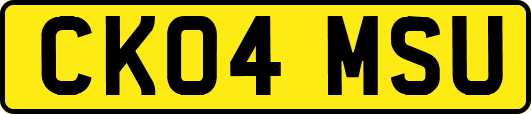 CK04MSU