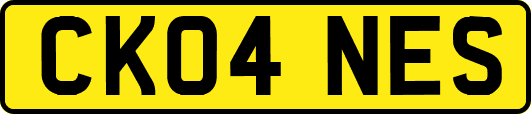 CK04NES