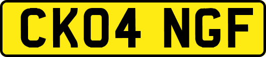CK04NGF