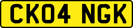 CK04NGK