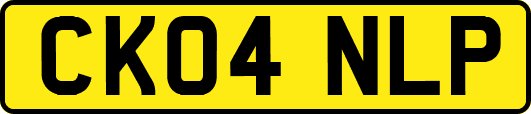 CK04NLP