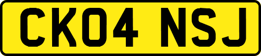 CK04NSJ