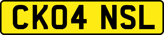 CK04NSL