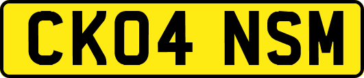 CK04NSM