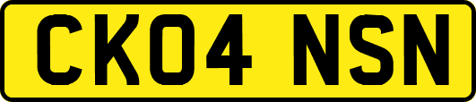 CK04NSN