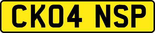 CK04NSP