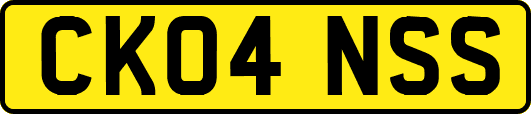 CK04NSS