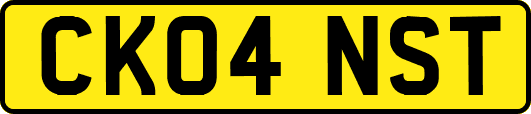 CK04NST