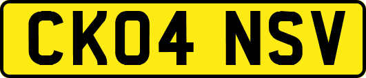 CK04NSV