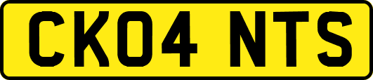 CK04NTS