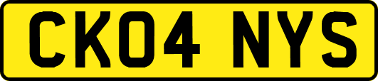 CK04NYS