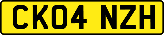 CK04NZH