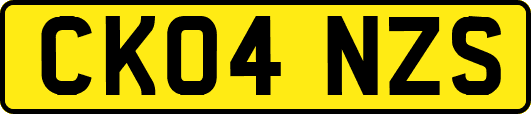 CK04NZS