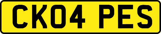 CK04PES