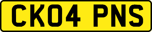 CK04PNS