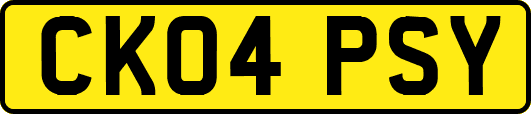 CK04PSY