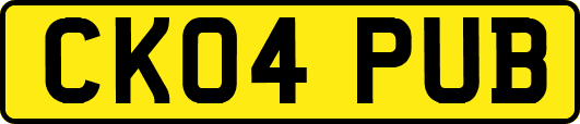 CK04PUB