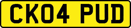 CK04PUD