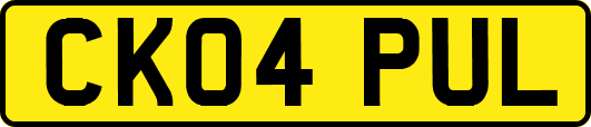 CK04PUL