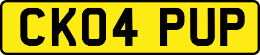 CK04PUP