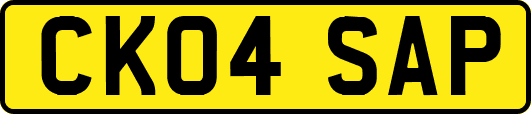 CK04SAP