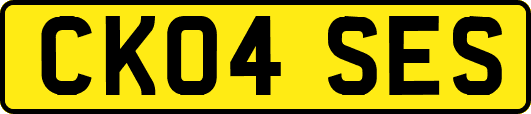 CK04SES
