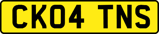CK04TNS