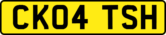 CK04TSH
