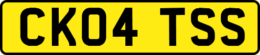 CK04TSS