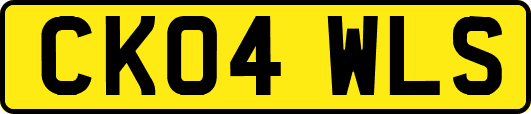 CK04WLS