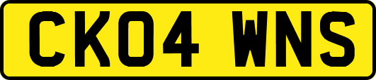 CK04WNS