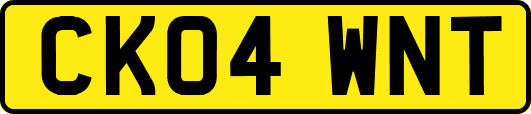 CK04WNT