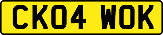 CK04WOK