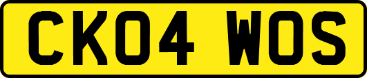 CK04WOS