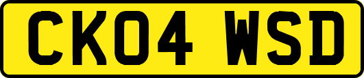 CK04WSD