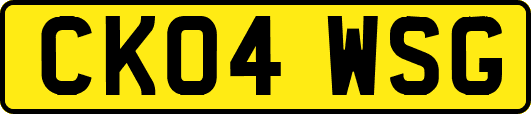 CK04WSG