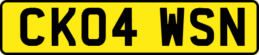 CK04WSN