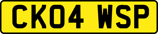 CK04WSP