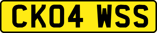 CK04WSS