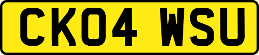 CK04WSU