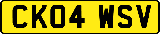 CK04WSV
