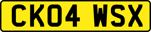 CK04WSX