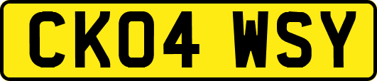 CK04WSY