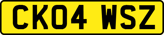 CK04WSZ