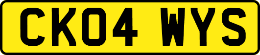CK04WYS