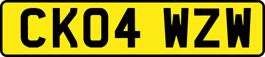 CK04WZW