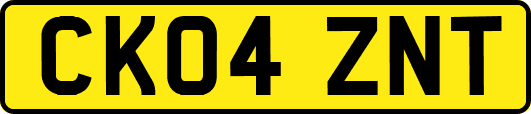CK04ZNT