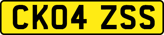 CK04ZSS