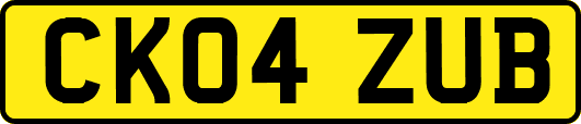 CK04ZUB